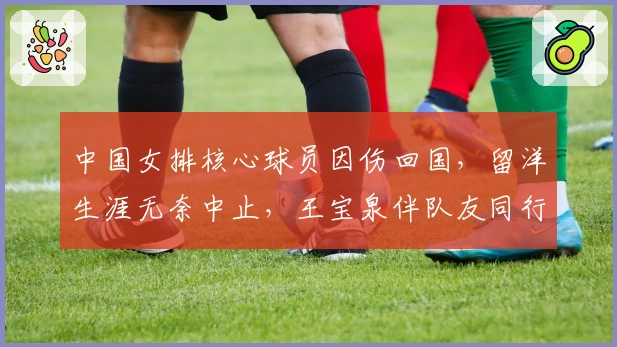 中国女排核心球员因伤回国，留洋生涯无奈中止，王宝泉伴队友同行