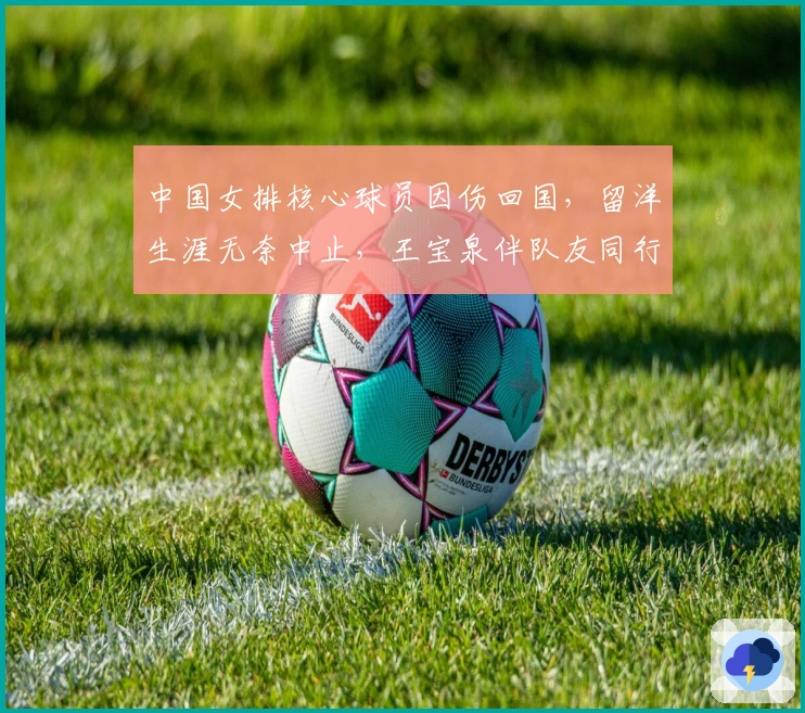 中国女排核心球员因伤回国，留洋生涯无奈中止，王宝泉伴队友同行